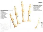 Как распознать и побороть остеоартроз стопы