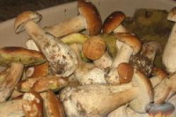 Как приготовить маринованные белые грибы Классический рецепт маринованных белых грибов